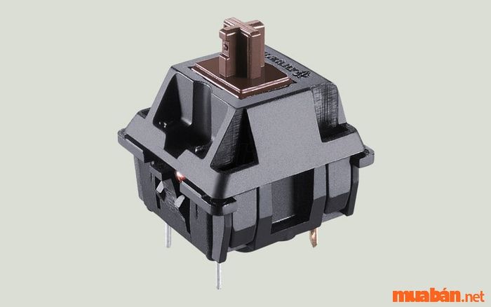 Brown switch