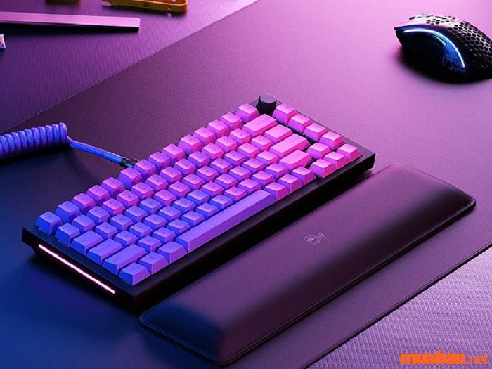 Gắn lại keycap và vỏ bàn phím