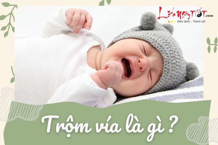 Trộm vía là gì?