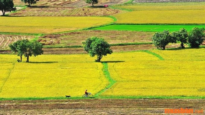 Công đất được xem là một đơn vị đo diện tích đất truyền thống ở Việt Nam.