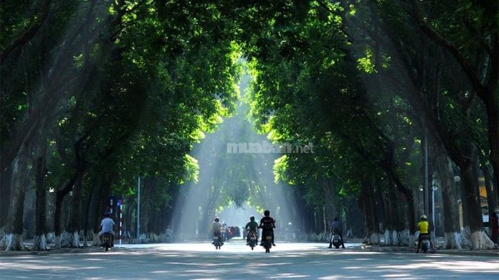 Con đường lãng mạn nhất quận Ba Đình - Phan Đình Phùng.