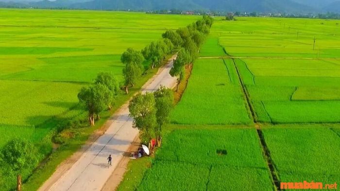 1 công tương đương với bao nhiêu mét vuông? Hãy đổi đơn vị một cách chính xác nhất.