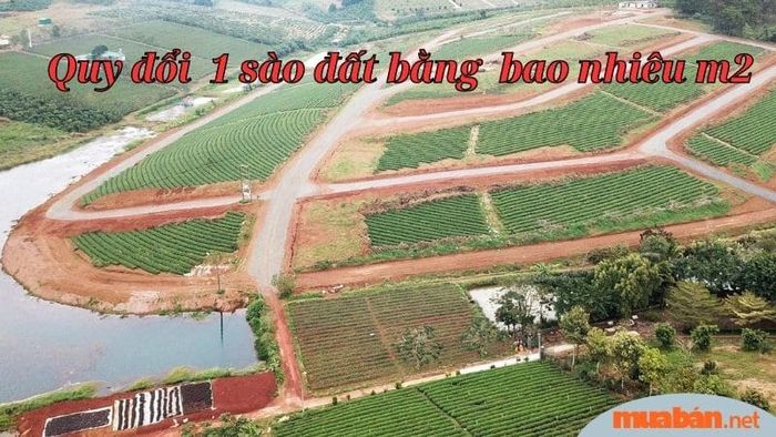 Chuyển đổi 1 sào tương đương với bao nhiêu m2 đất.