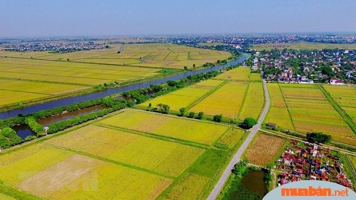 1 sào tương đương bao nhiêu m2 tại miền Bắc, Trung và Nam Bộ?