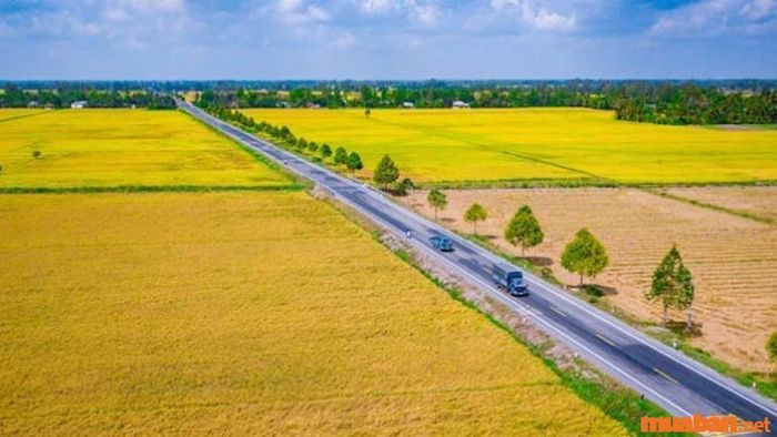 1 công tương đương với bao nhiêu mét vuông tại khu vực Bắc Bộ?