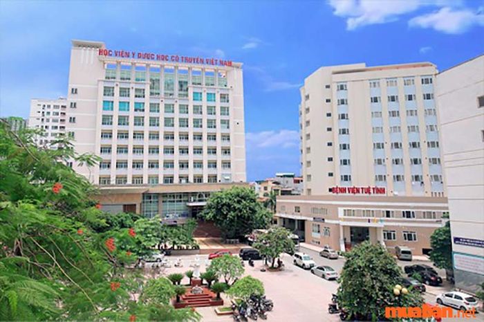Bệnh viện
