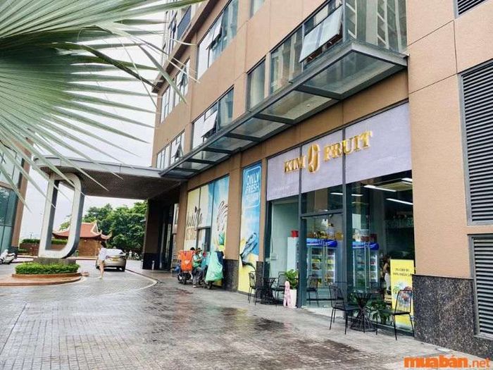 Vai trò của căn hộ Shophouse trong thị trường bất động sản