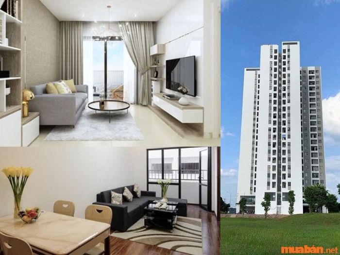 Sự khác biệt giữa Shophouse và chung cư