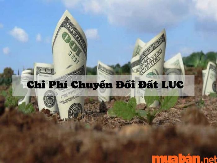 Chi phí chuyển đổi sang đất ở
