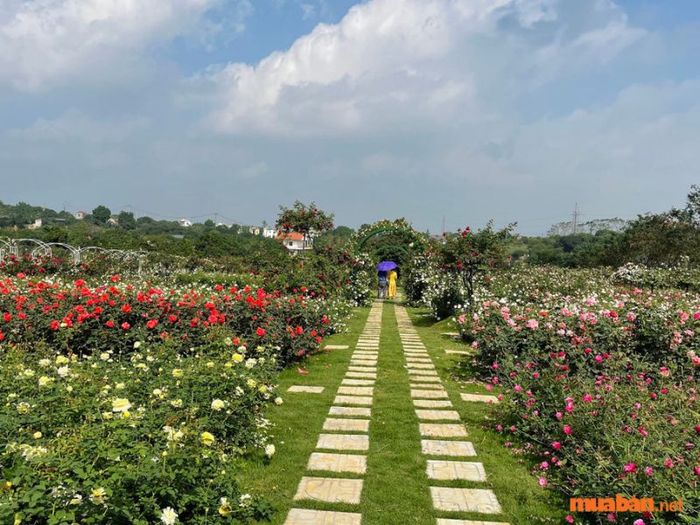 Có thể xây nhà trên đất DKV không?