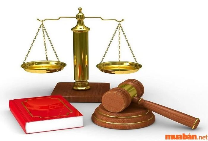 Đất 50 năm sẽ được bồi thường theo các quy định pháp luật hiện hành.