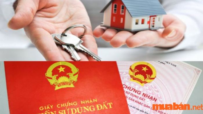 Mẫu giấy cho tặng đất chưa có sổ đỏ