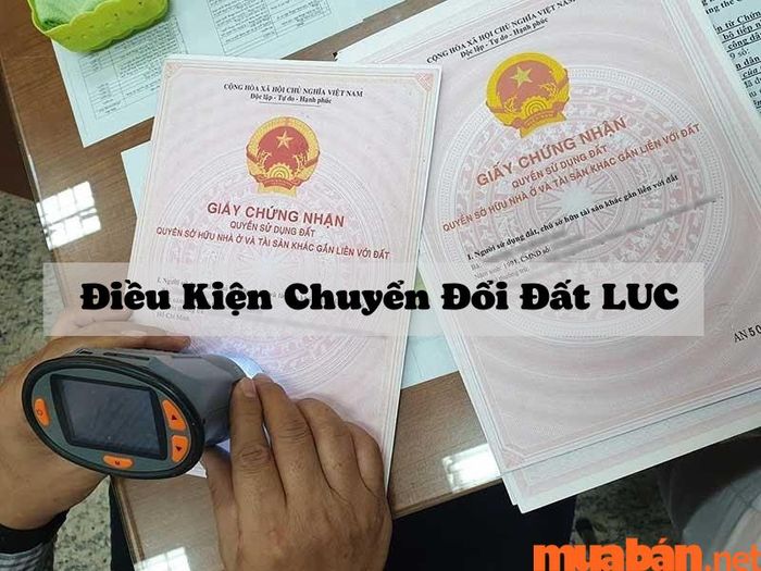 Các điều kiện cần thiết để chuyển đổi sang đất thổ cư