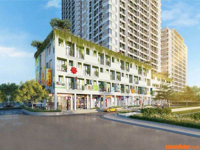 Hạn chế liên quan đến quyền sở hữu và thời gian sử dụng