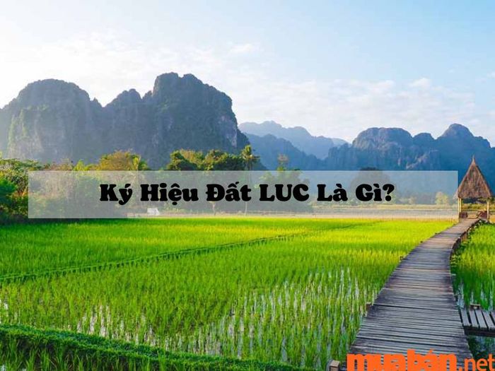 Giải thích về ký hiệu đất LUC
