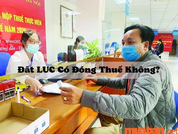 Có phải nộp thuế cho đất LUC không?