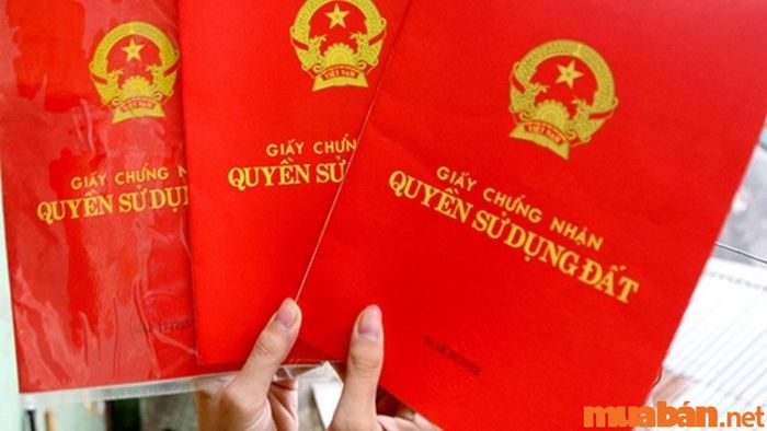 Điều kiện để được cấp giấy chứng nhận