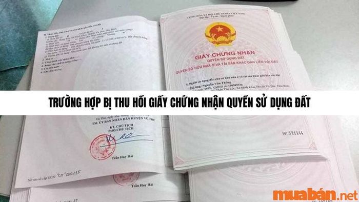 Thu hồi Giấy chứng nhận quyền sử dụng đất
