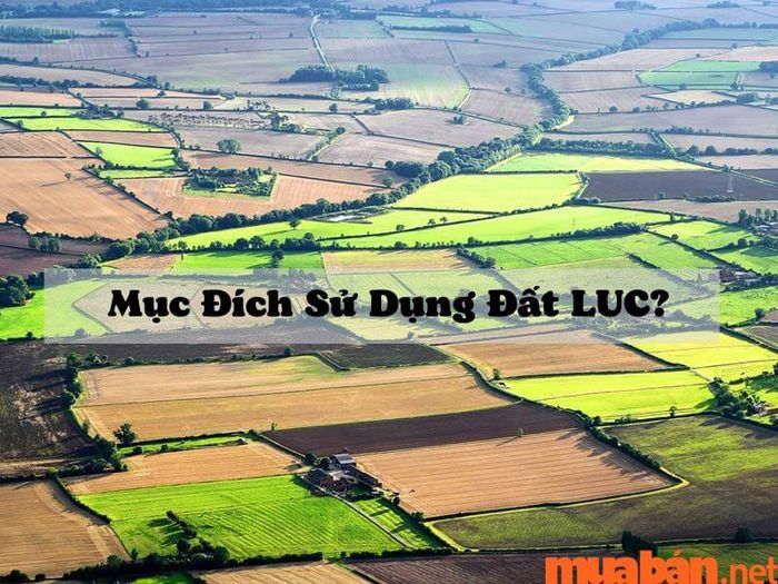 Mục đích sử dụng của đất LUC là gì?