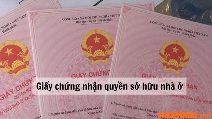 Giấy chứng nhận quyền sở hữu nhà ở được cấp cho các căn hộ chung cư.