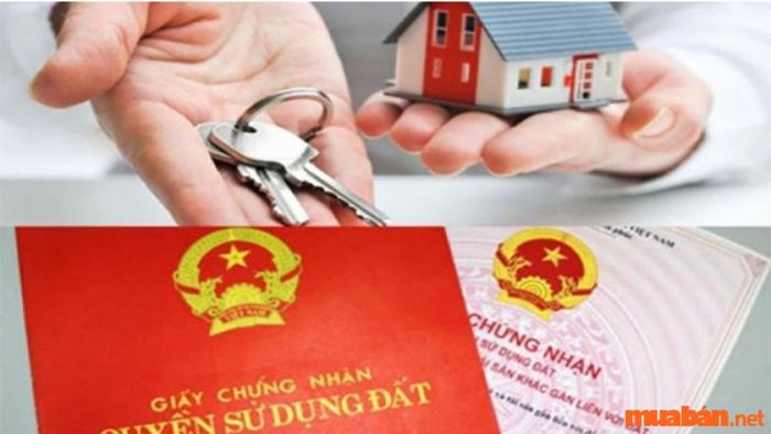 Quyền hạn cấp Giấy chứng nhận quyền sử dụng đất