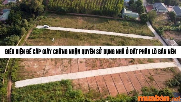 Điều kiện cần có để cấp Giấy chứng nhận quyền sử dụng nhà ở trên đất phân lô bán nền là gì?