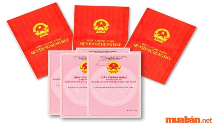 Việc cấp sổ hồng cho căn hộ Officetel hiện tại vẫn chưa được thực hiện.
