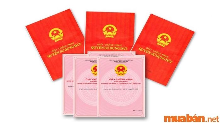Khám phá các loại giấy chứng nhận quyền sử dụng đất tại Mytour