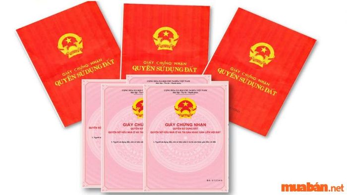 Quyền hạn cấp Giấy chứng nhận quyền sử dụng đất