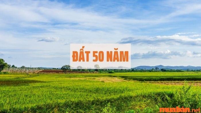 Khái niệm đất 50 năm là gì?