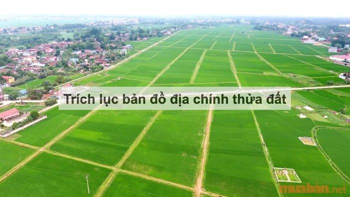 Trích lục bản đồ địa chính của thửa đất