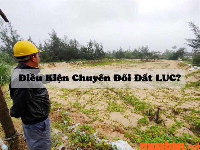 Các điều kiện cần có để chuyển đổi sang đất thổ cư