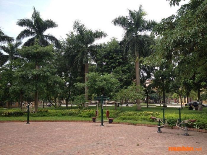 4 bước để chuyển đổi đất DKV thành đất ở