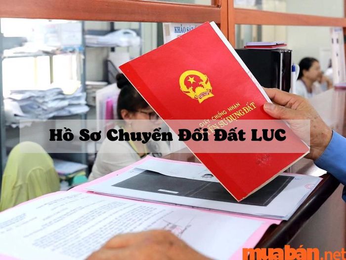 Hồ sơ để chuyển đổi sang đất ở