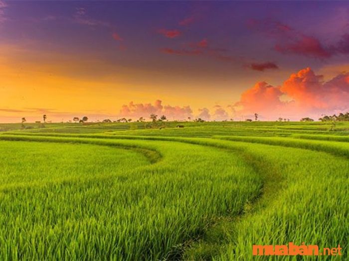 Đất LUK là gì?