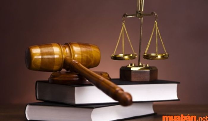 Thời hạn sử dụng tối đa của Officetel là 50 năm.