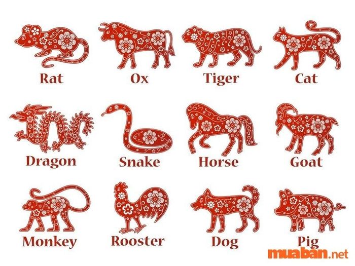 Hai cách chọn tầng chung cư theo tuổi để thu hút tài lộc
