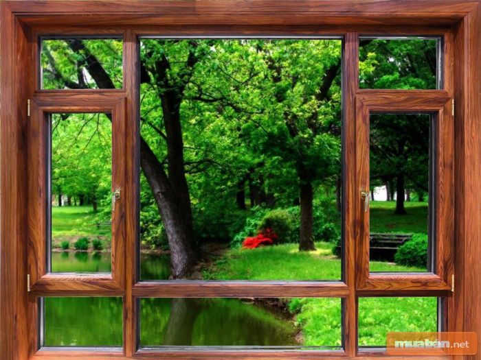 Thiết kế cửa kính gỗ tinh tế