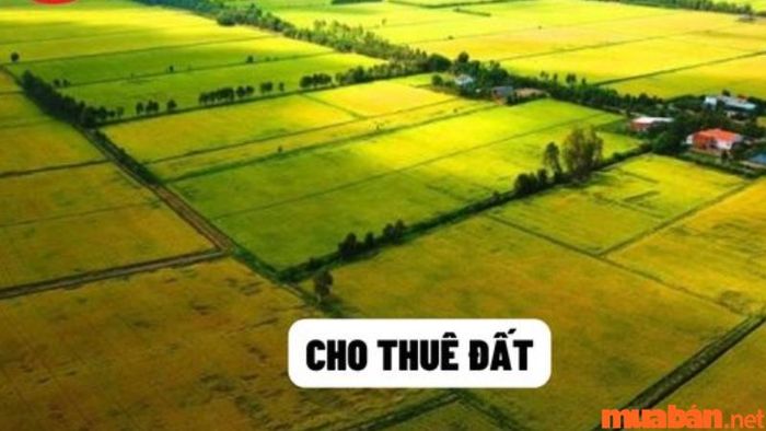 Trong bộ hồ sơ xin cho thuê đất phải bao gồm trích lục bản đồ địa chính hoặc trích đo địa chính của thửa đất.