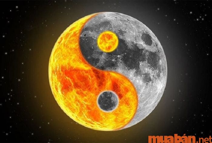 Số 13 được hình thành từ hai số lẻ, do đó nó thuộc về vận Dương trong thuyết Âm Dương.