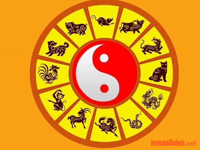 Hai phương pháp lựa chọn tầng chung cư theo tuổi để thu hút tài lộc