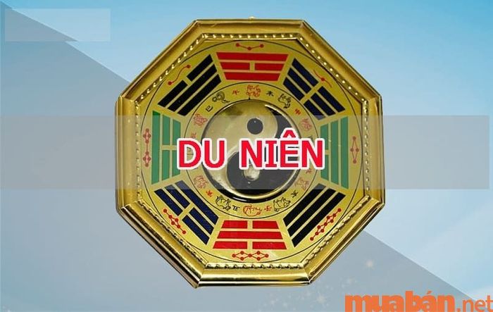 Mỗi con số đều có ảnh hưởng nhất định theo thuyết Du Niên.