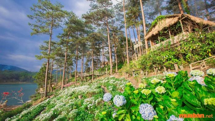 Phim trường Happy Hill