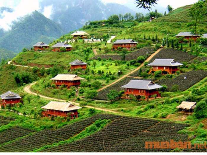 Khu nghỉ dưỡng hướng tầm nhìn về thung lũng hoa hồng