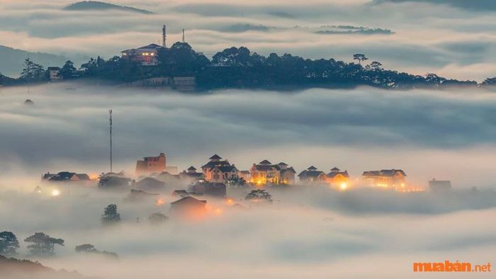 Kinh nghiệm tham quan các địa điểm check-in tại Đà Lạt