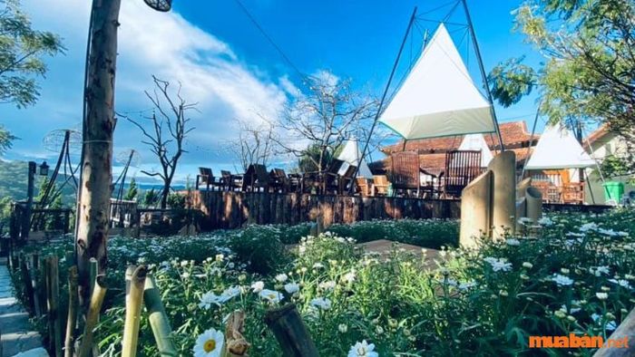 quán cà phê Ngày Của Nắng