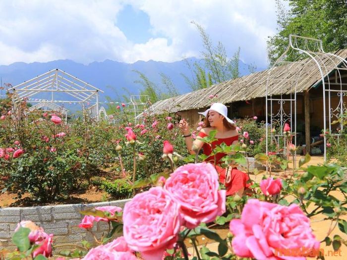 Thời điểm lý tưởng để tham quan thung lũng hoa hồng