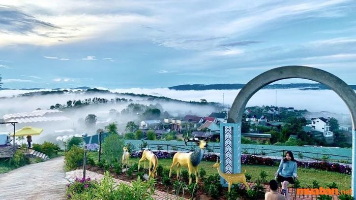 Đồi Mây Đà Lạt