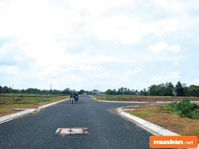 Sự hấp dẫn của đất nền giá rẻ tại Bình Chánh ngày càng tăng cao