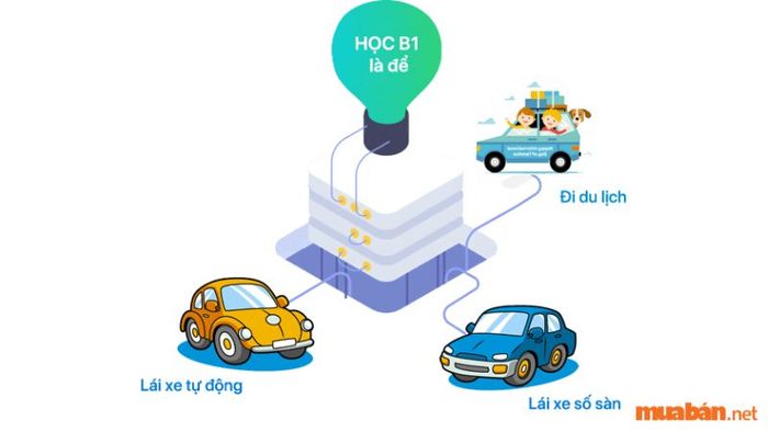 Có nên theo học bằng lái xe B1 hay không?